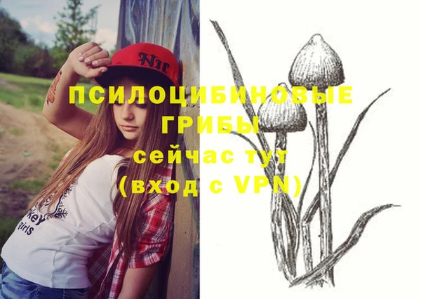меф Белокуриха