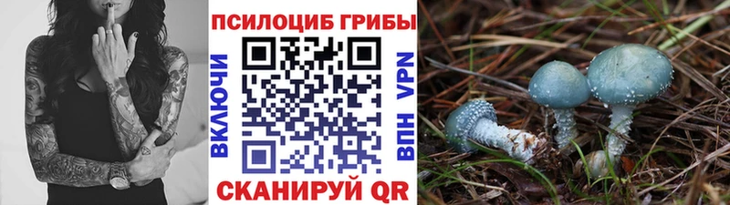 Псилоцибиновые грибы ЛСД  Вятские Поляны 