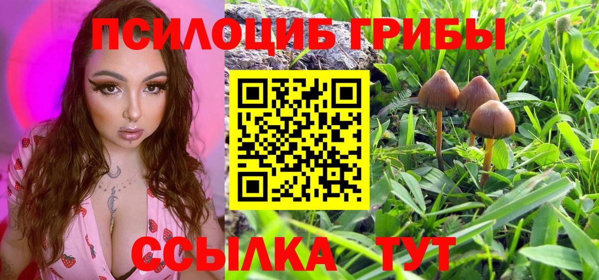 Вятские Поляны  Псилоцибиновые грибы GOLDEN TEACHER  Вход с VPN  Галлюциногенные грибы MAGIC MUSHROOMS 