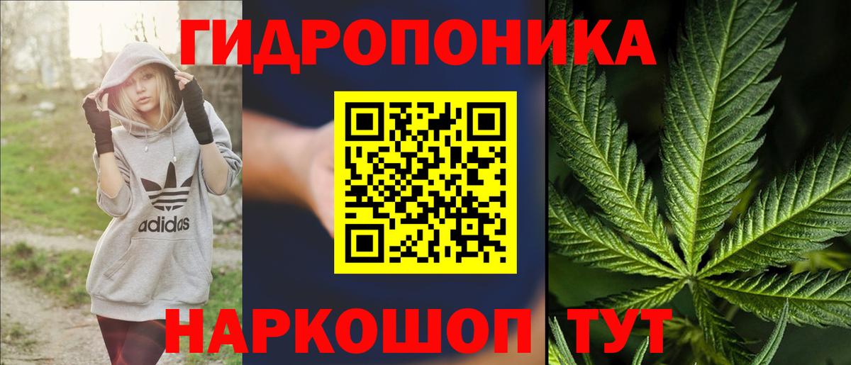 Бошки Шишки семена Вятские Поляны